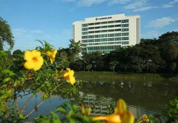 马来亚大学受中国学生欢迎的本科科系是哪个？