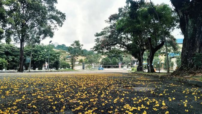 马来亚大学-想出国读研同学的首选