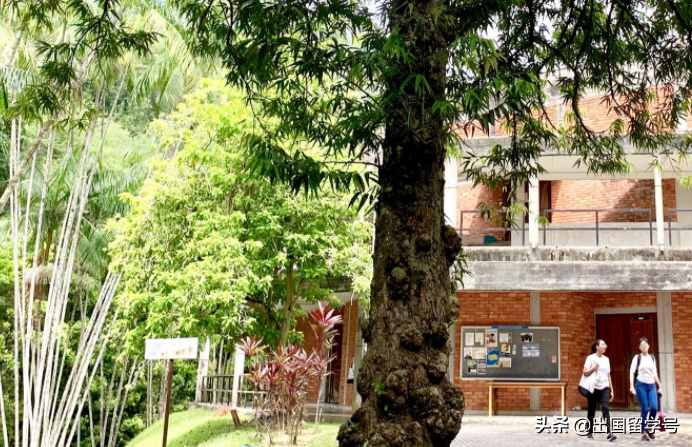 马来西亚留学|马来西亚国立大学硕士专业介绍