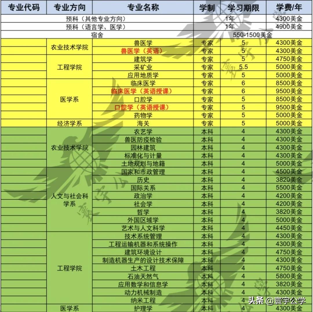 在俄罗斯人民友谊大学（РУДН）读书是种什么样的体验？