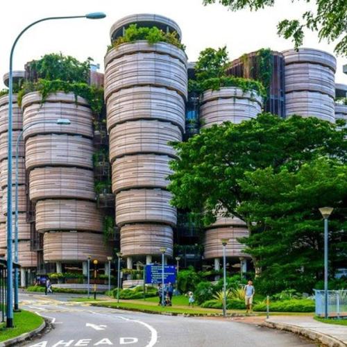 南洋理工大学图片2
